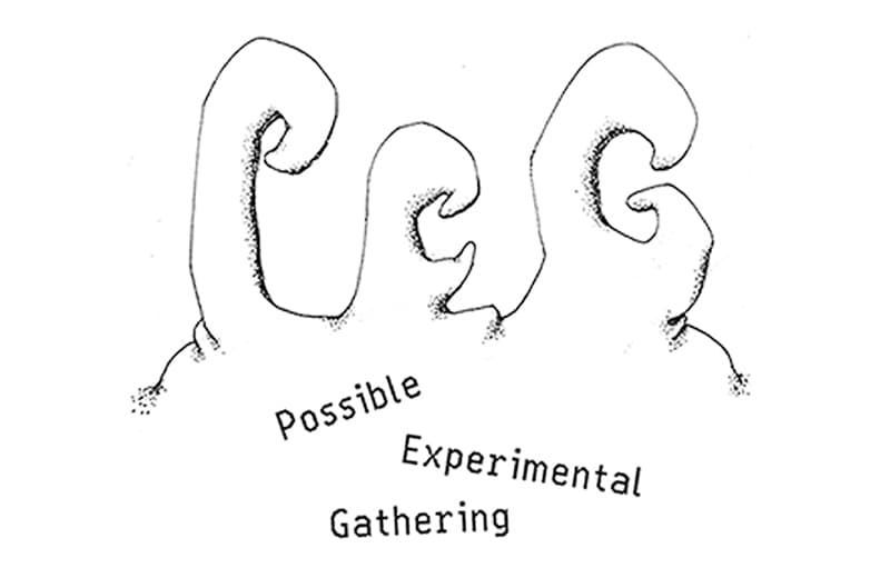 PEG -possible experimental gathering-